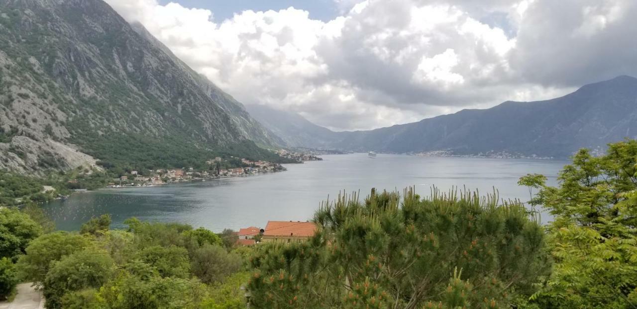 Green Village Kotor Bagian luar foto